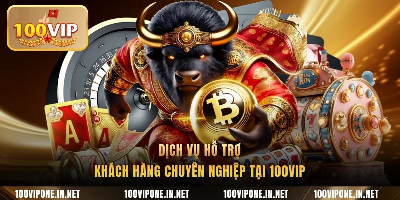 Dịch vụ hỗ trợ khách hàng chuyên nghiệp tại 100VIP